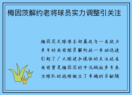 梅因茨解约老将球员实力调整引关注