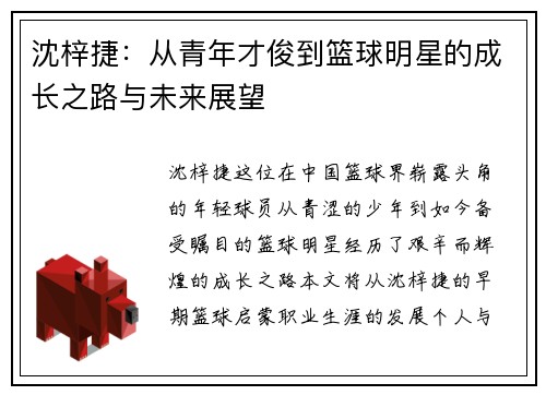 沈梓捷：从青年才俊到篮球明星的成长之路与未来展望